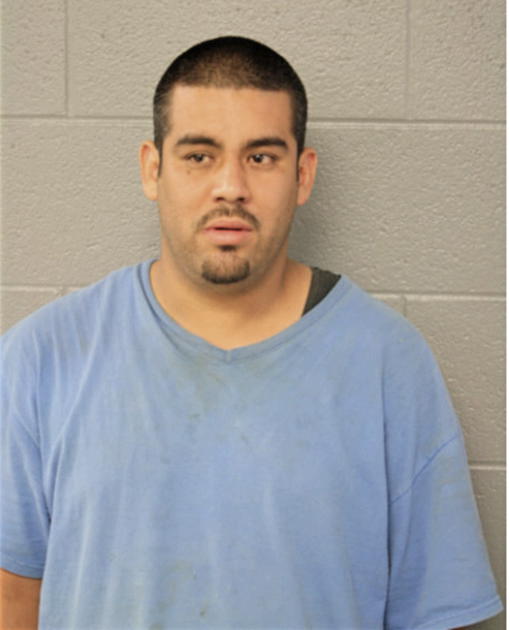 RAFAEL A FLORES, Cook County, Illinois
