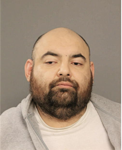 CARLOS E GONZALEZ-ARREOLA, Cook County, Illinois