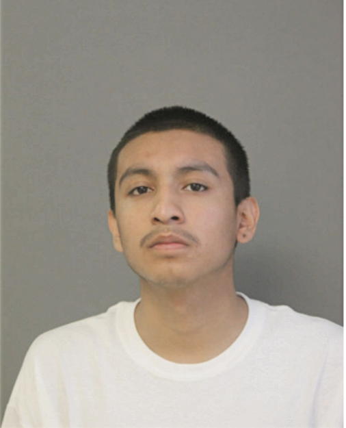 JESUS C GONZALEZ, Cook County, Illinois