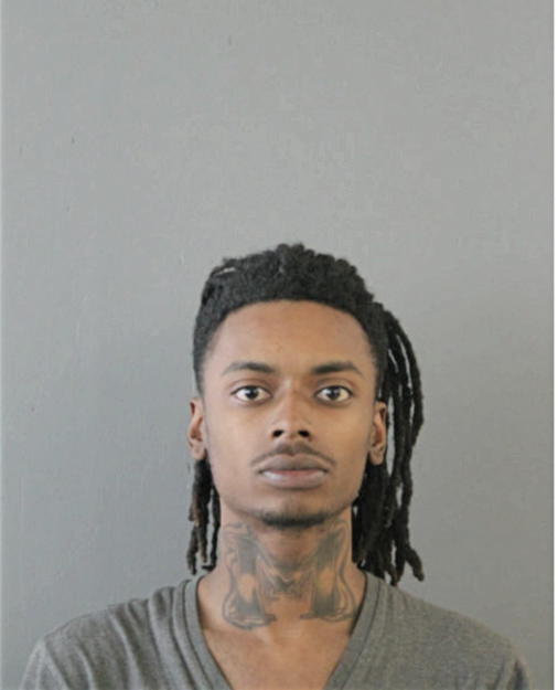 WILLIAM T HERBERT, Cook County, Illinois