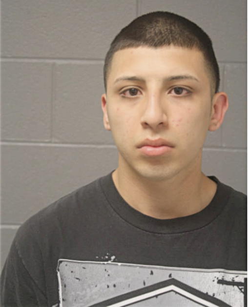 JAVIER HERRERA, Cook County, Illinois