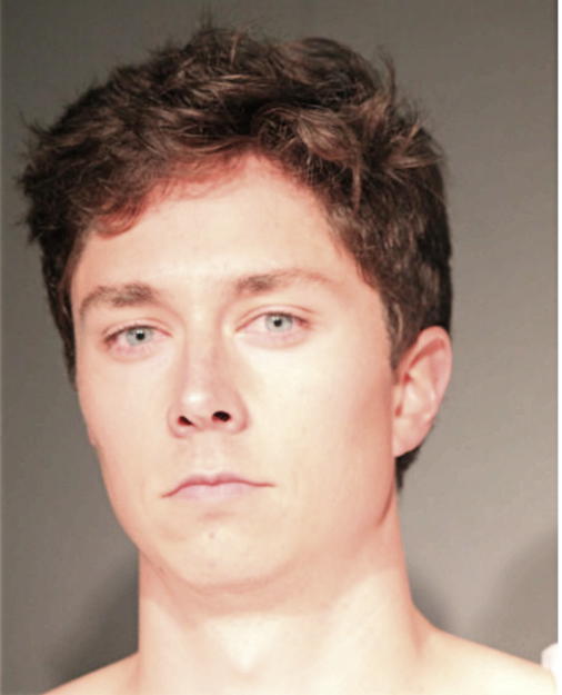 ANDREW IRWIN, Cook County, Illinois