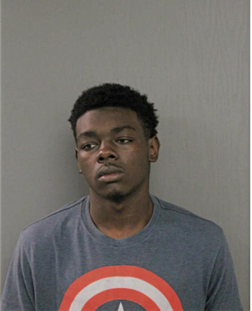 DAVID JOHNSON, Cook County, Illinois