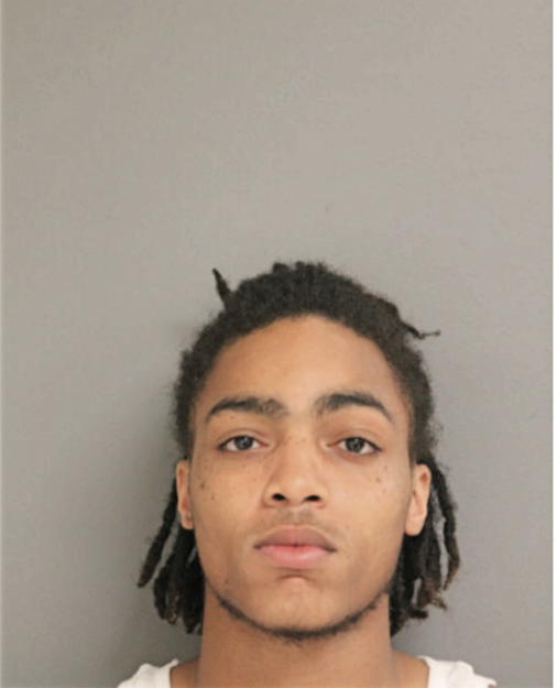 PATRICK L JOHNSON, Cook County, Illinois