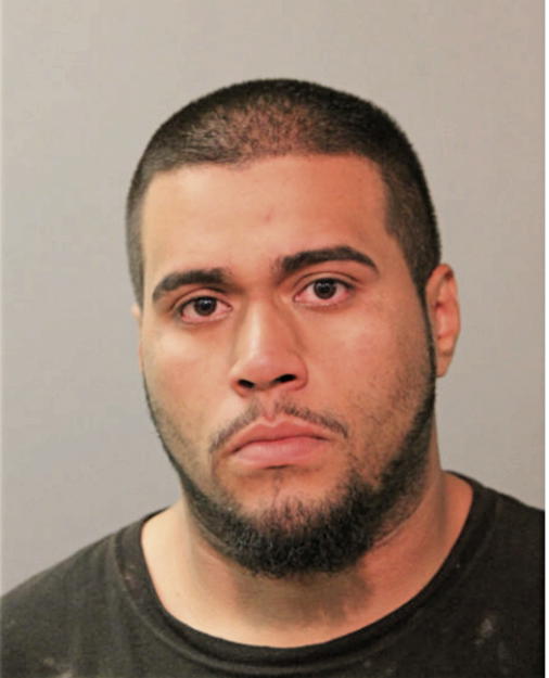 JOSE F LABOY, Cook County, Illinois