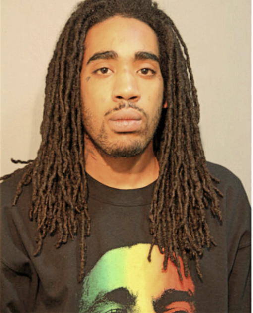 MALCOLM A MCDONALD, Cook County, Illinois