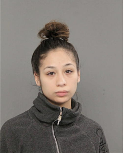 FANTASIA R NAVARRO, Cook County, Illinois