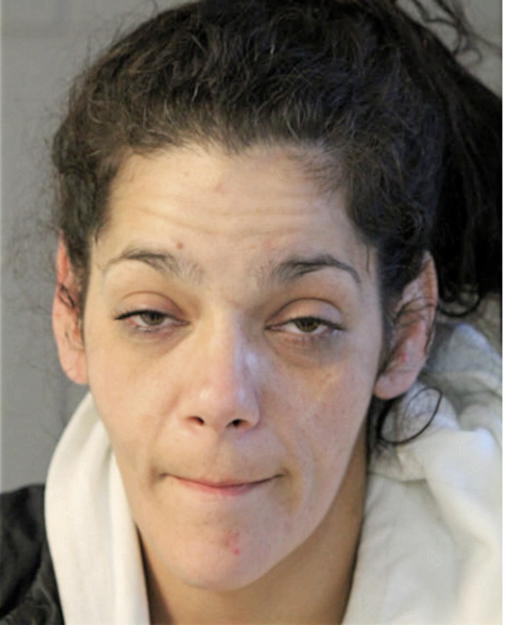 BONNIE L NIETO, Cook County, Illinois