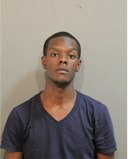 RICHARD E OWENS, Cook County, Illinois