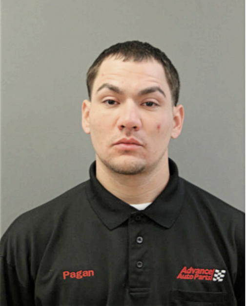 LUIS A PAGAN, Cook County, Illinois