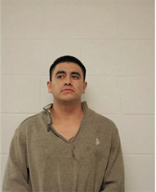 GONZALO REYES, Cook County, Illinois