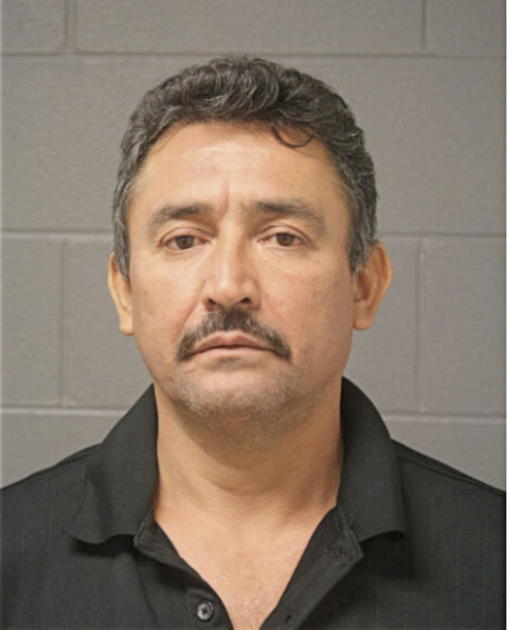 RENE ROBLES, Cook County, Illinois