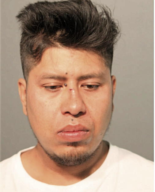 JUAN CARLOS RUIZ, Cook County, Illinois