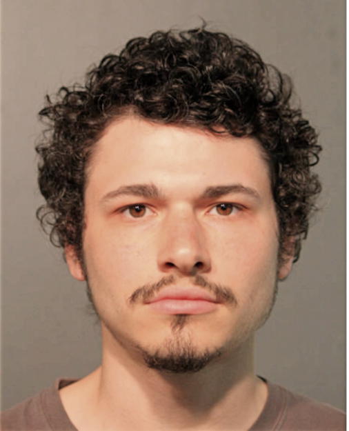 JOSHUA J SANSONE, Cook County, Illinois