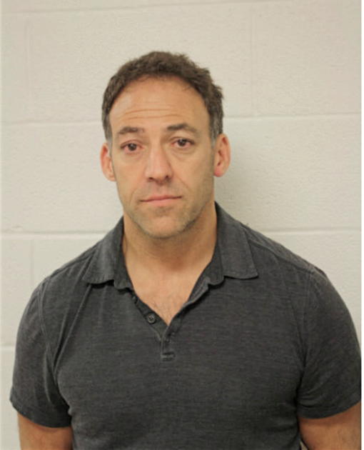 STEVEN M SCHOENBERG, Cook County, Illinois