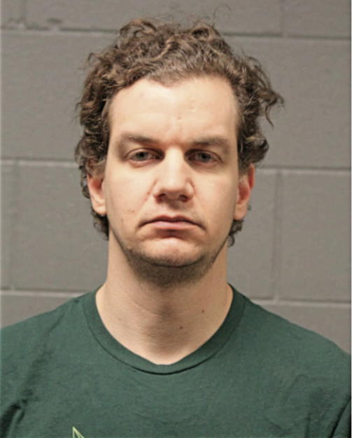 YAHN M VAN DE WALLE, Cook County, Illinois