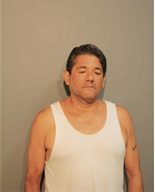 CARL P ZAVALA, Cook County, Illinois
