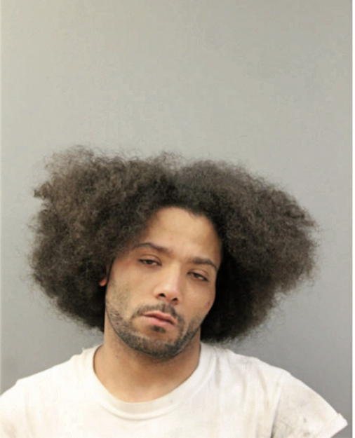 EDDIE E BOWMAN, Cook County, Illinois
