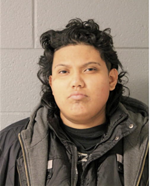 BRENDA BRITO, Cook County, Illinois