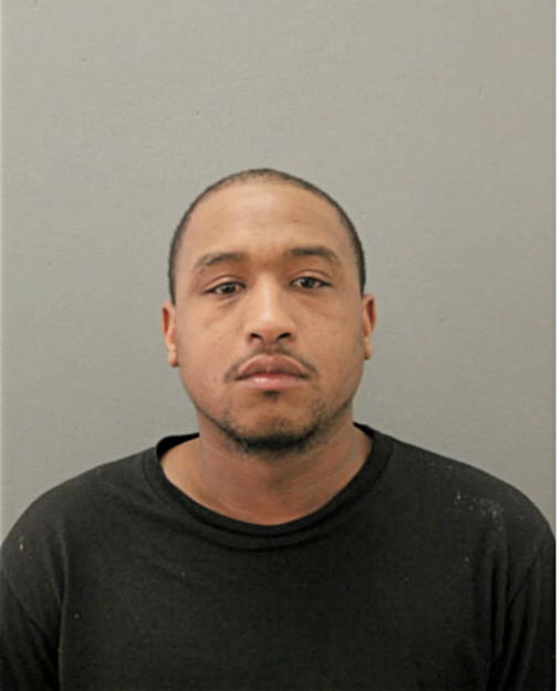 LAVOY J BROWN, Cook County, Illinois