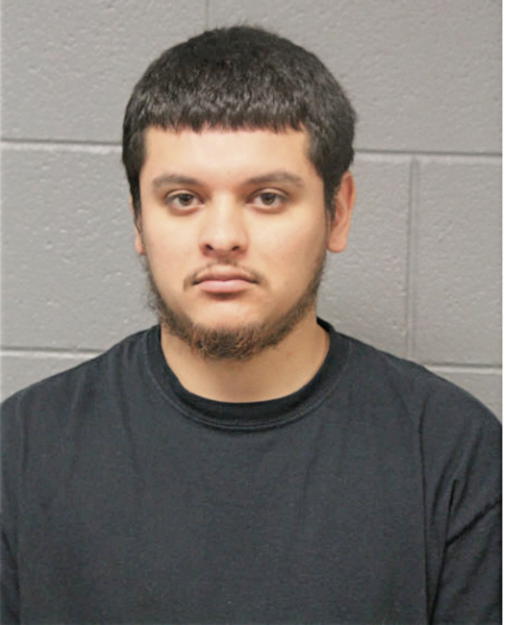 ERICK CALLEJA, Cook County, Illinois