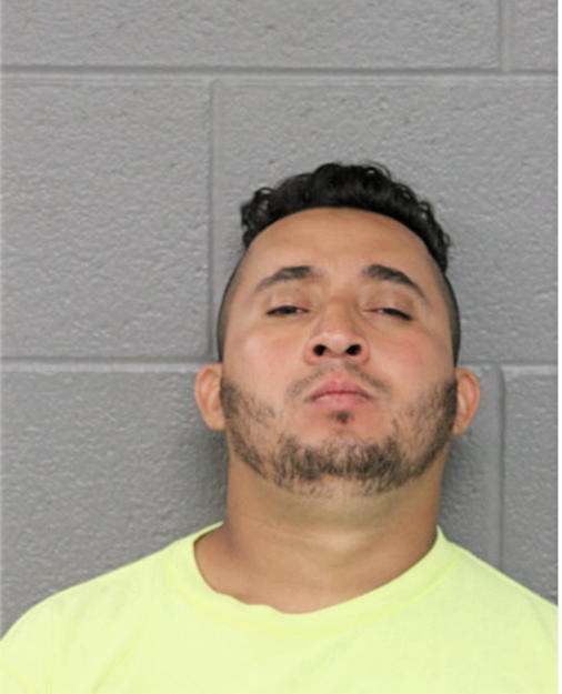 JOSE CARBAJAL-BRIZUELA, Cook County, Illinois