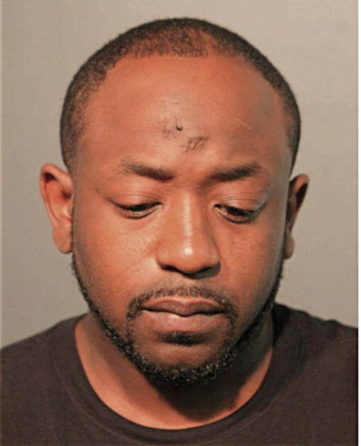 MICHAEL L COLLINS JR., Cook County, Illinois