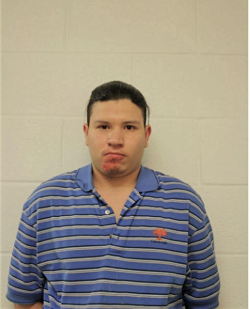 DOMINGO CRUZ, Cook County, Illinois