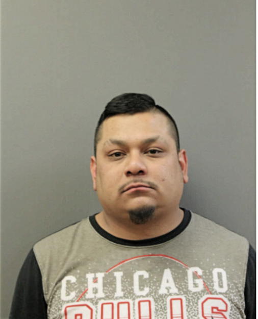 ARMANDO FLORES, Cook County, Illinois