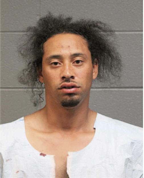 LASHAWN GREEN, Cook County, Illinois