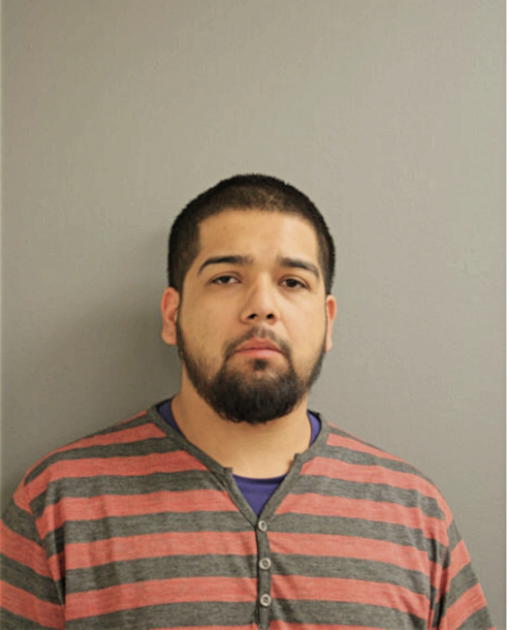 MATTHEW L GUEBARA, Cook County, Illinois