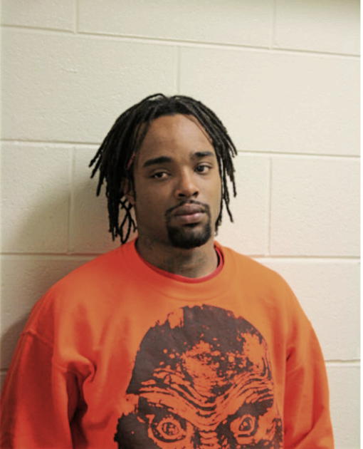 DEANDRA D HIGGS, Cook County, Illinois