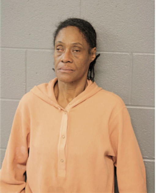 GLORIA J HUDDLESTON, Cook County, Illinois