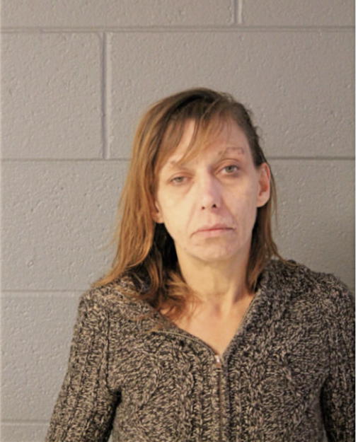 DEBRA S HYDE, Cook County, Illinois