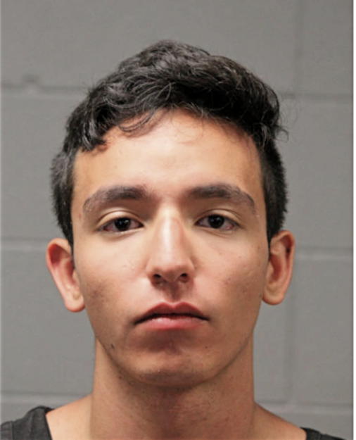 RICARDO JARMAKOWICZ, Cook County, Illinois