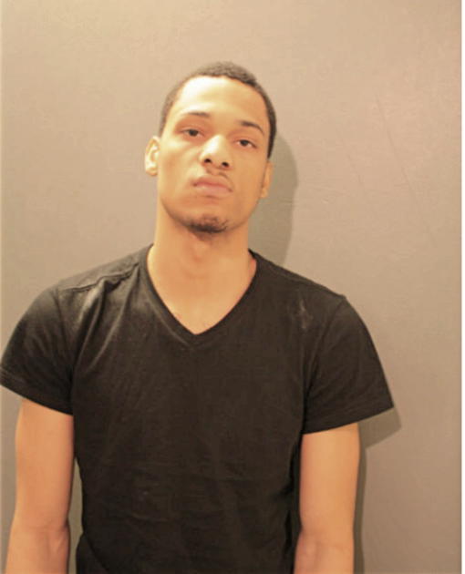 STEFON M JOHNSON, Cook County, Illinois