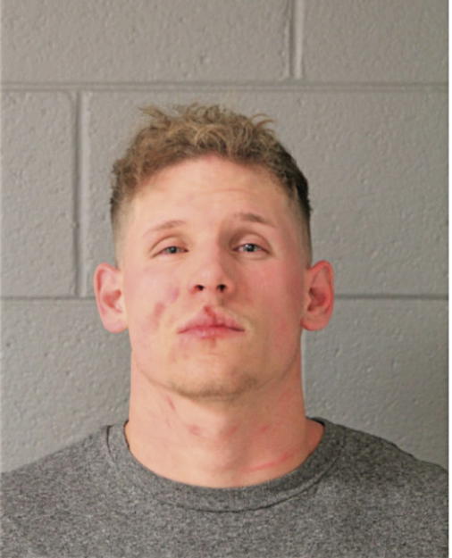 DENNIS J LANZ, Cook County, Illinois