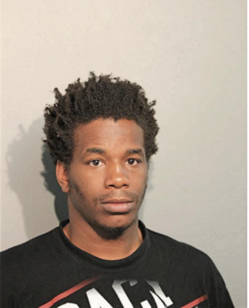 DEON D LEE, Cook County, Illinois
