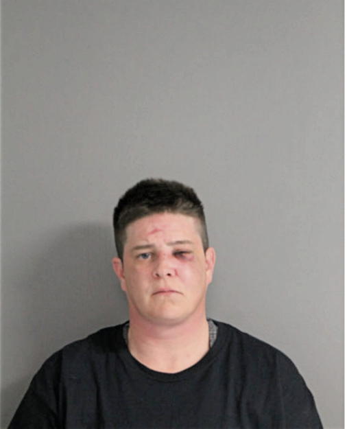 TERRY M LEWIS, Cook County, Illinois
