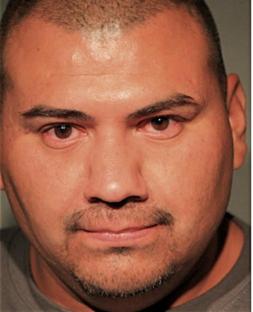 FERNANDO MARTINEZ, Cook County, Illinois