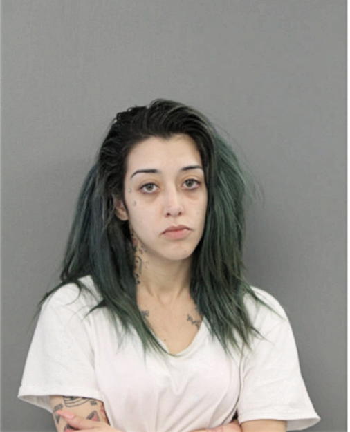 AYDA N MAYOR, Cook County, Illinois