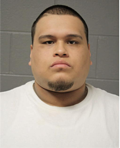 AARON MEDA, Cook County, Illinois