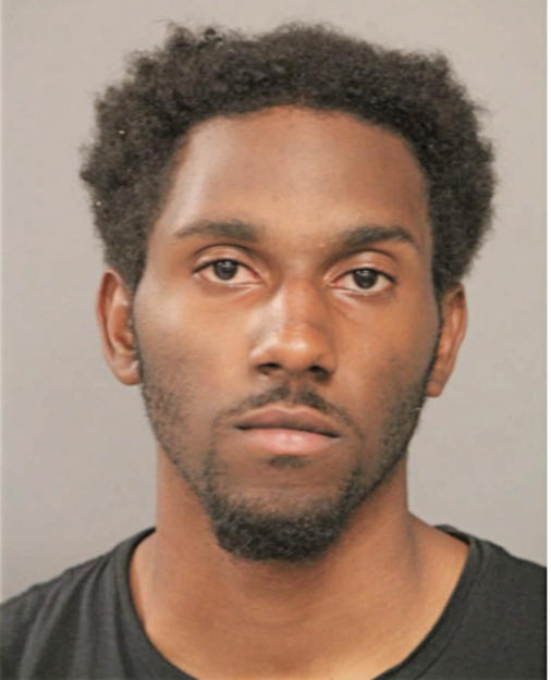 TAAFIQ T MOSES, Cook County, Illinois