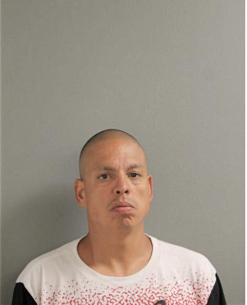JOSE L ORTOLAZA, Cook County, Illinois
