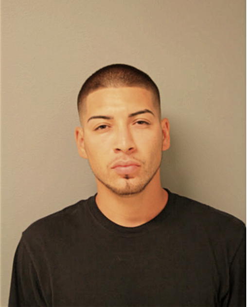 NATHANIEL REYES, Cook County, Illinois