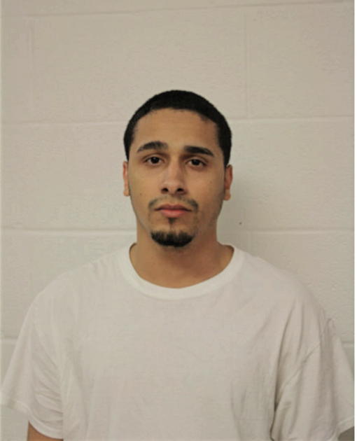 RAUL E SANTIAGO, Cook County, Illinois