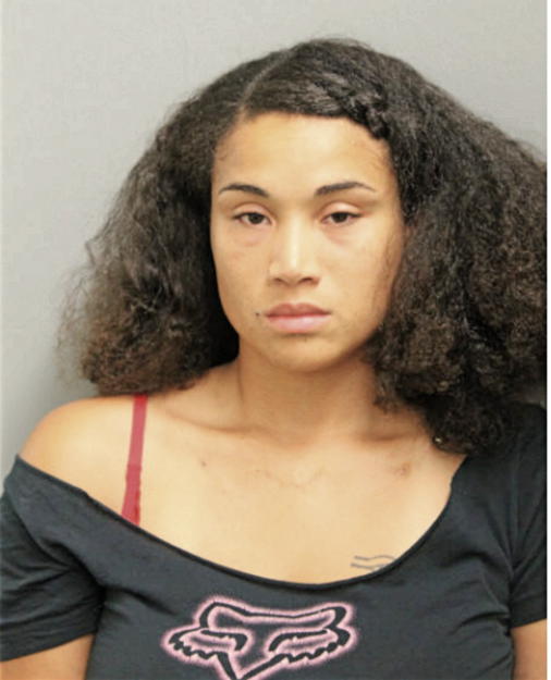 NICOLE A SMITH, Cook County, Illinois