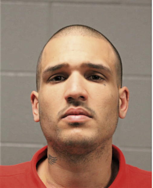 MANUEL A TORRES, Cook County, Illinois