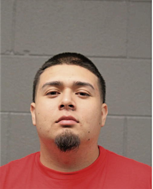 JOSE VEGA, Cook County, Illinois