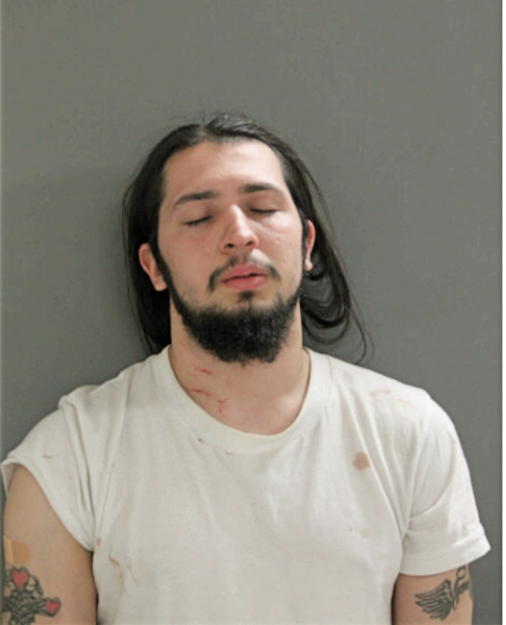 JAMES D YOUNG, Cook County, Illinois